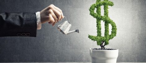 A hand holds a watering can over a bonsai in the shape of a dollar sign.